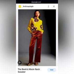 Gorgeous, never worn Anthropologie/Maeve Beatriz mock neck sweater